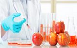 الزامات جدید سازمان غذا و دارو درباره غذاهای تراریخته